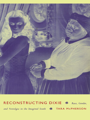 cover image of Reconstructing Dixie